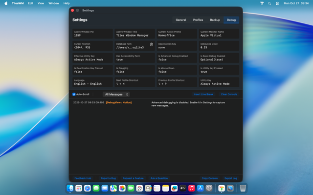 Debug overview showing key values