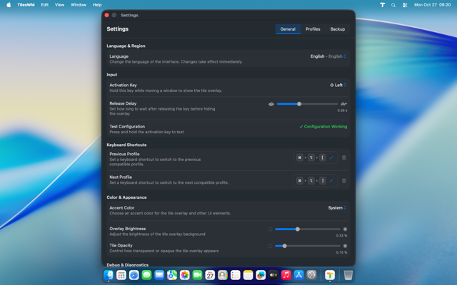 Overlay delay adjustment slider